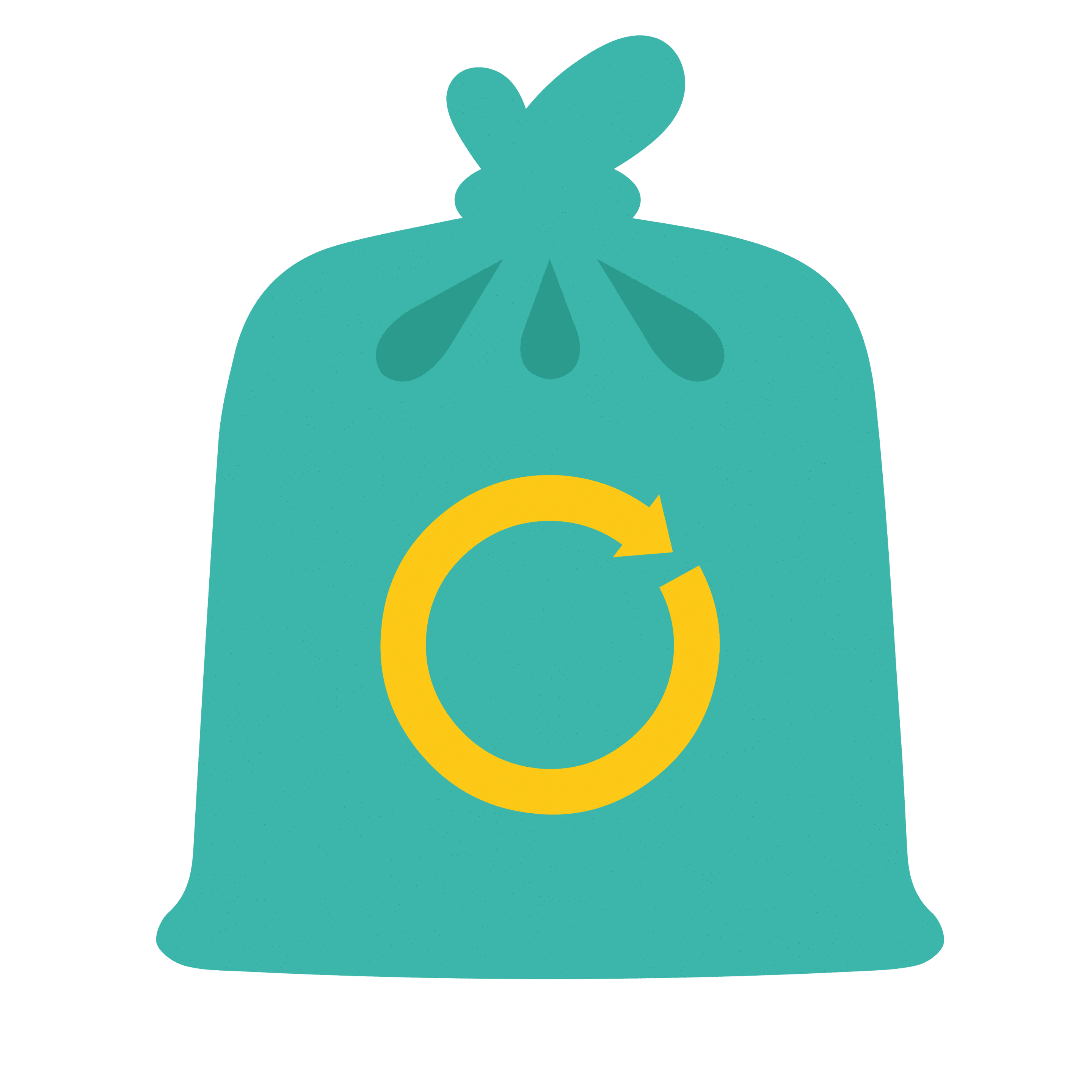bag2