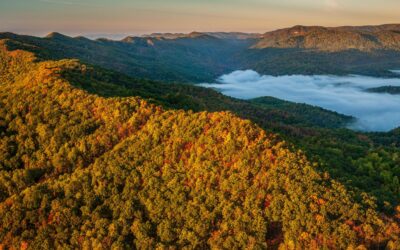 Recyclops Raises $3m in Seed Round Funding