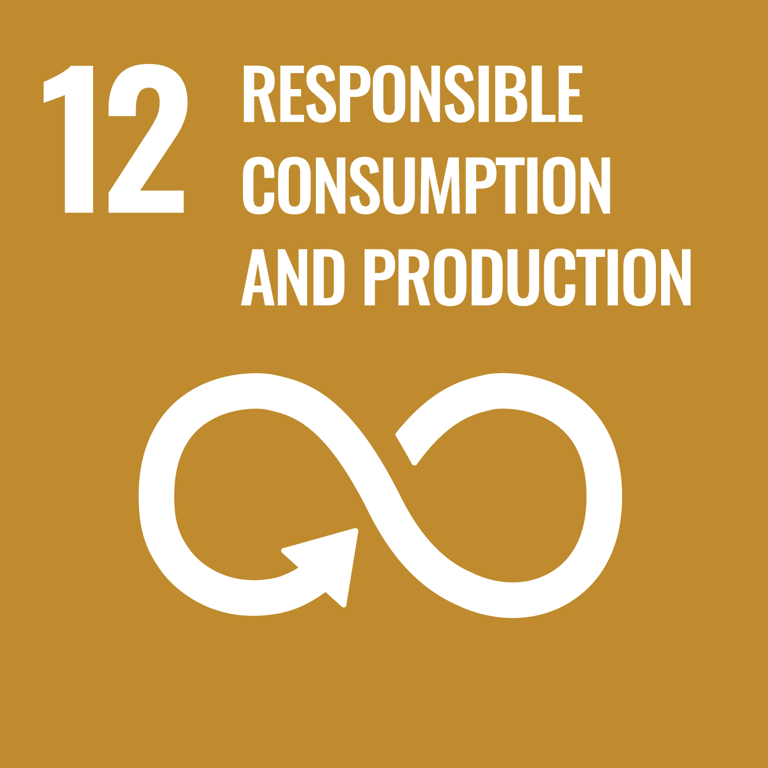 SDG 12 Responsible Consumption and production 