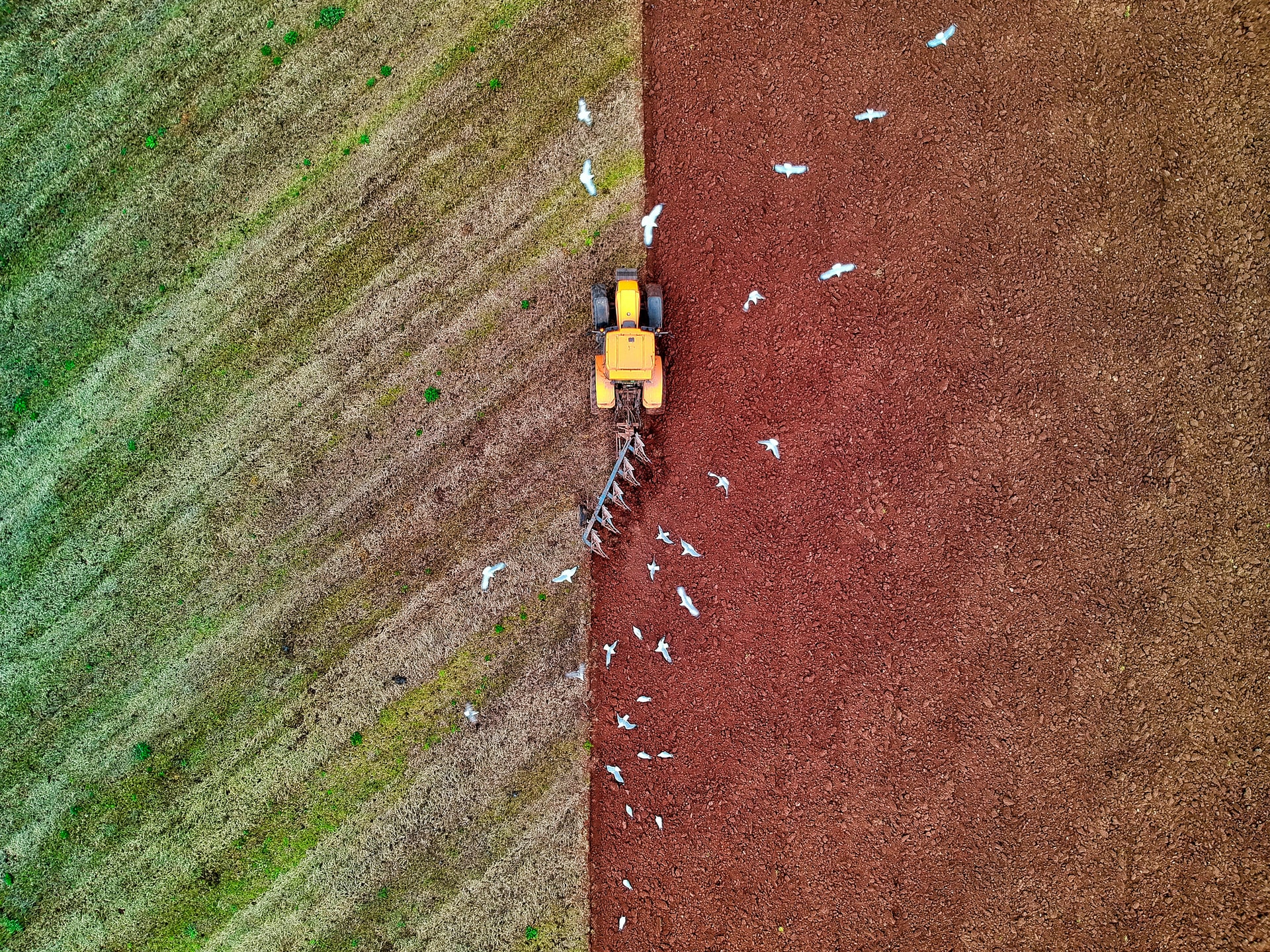 Farmer grabbing agricultural products