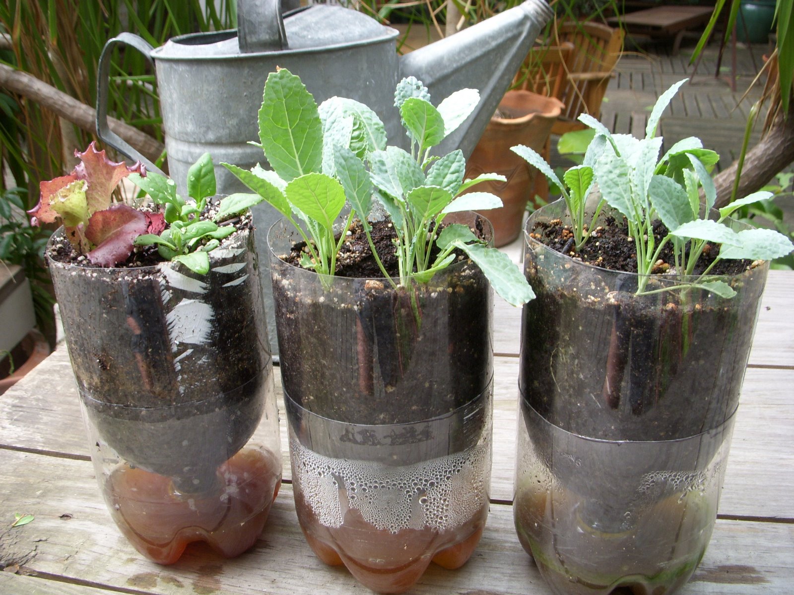 Plastic Herb Garden