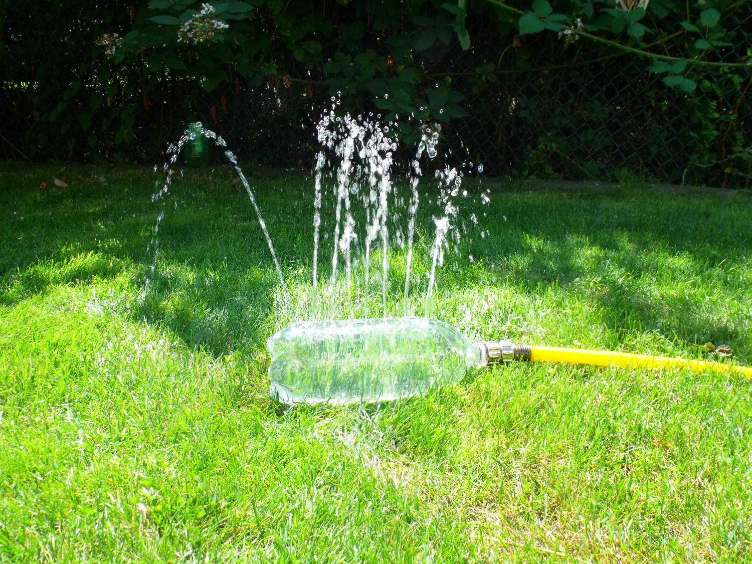 7 Creative Ways to Recycle Plastic Bottles - Blog - Recyclops