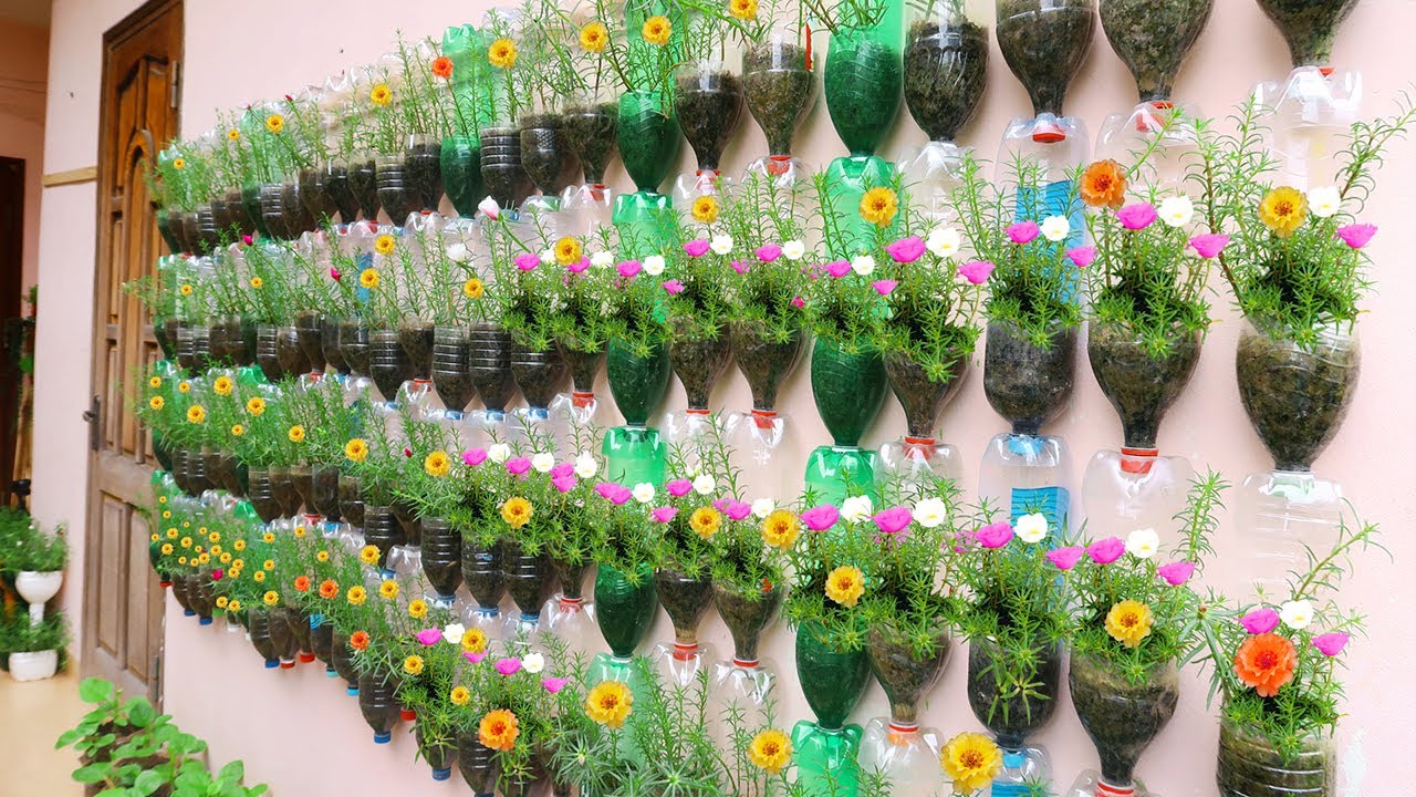 10 CREATIVE ways to Recycle Plastic Bottles