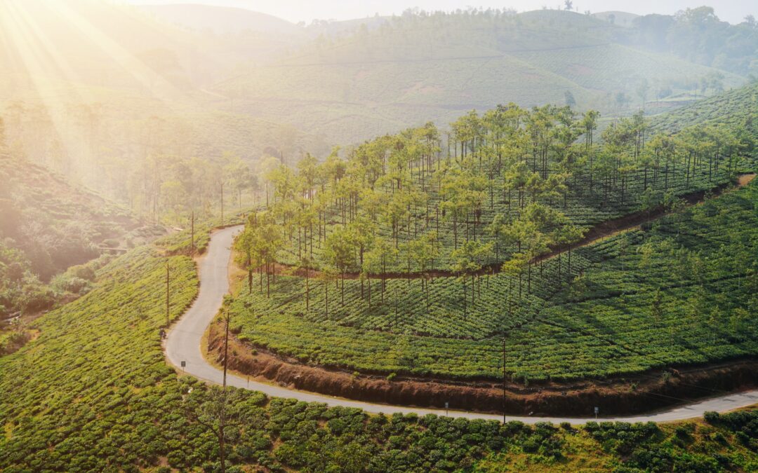 How Much Recycling Actually Gets Recycled