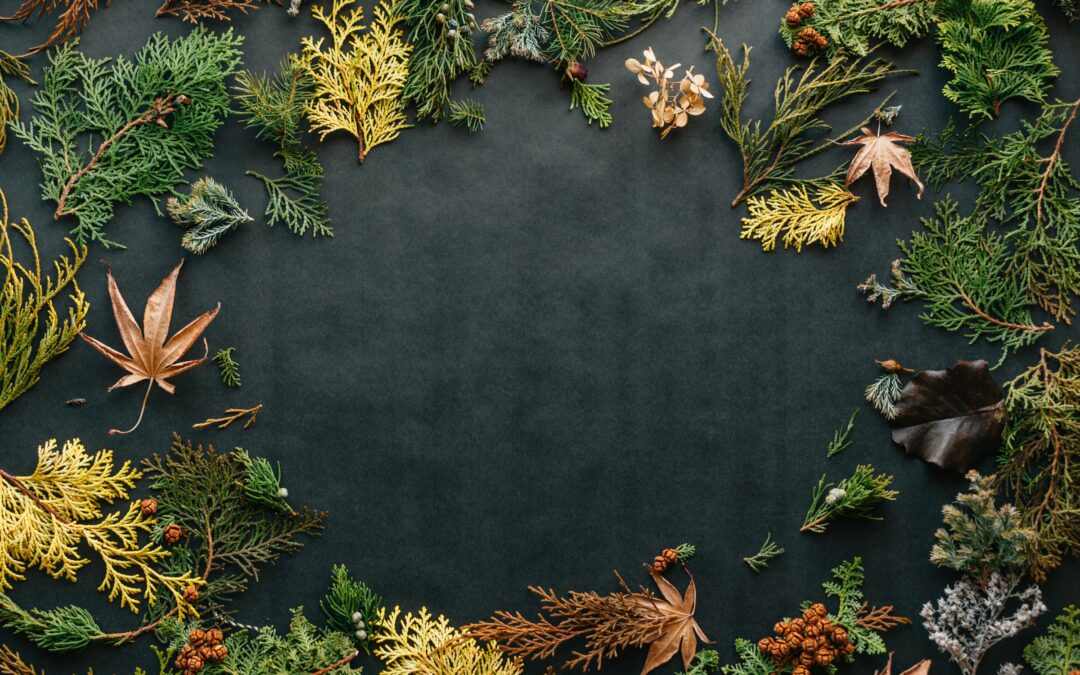 How to Hold a More Sustainable Thanksgiving This Year.