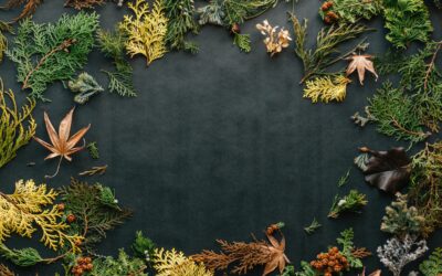 How to Hold a More Sustainable Thanksgiving This Year.