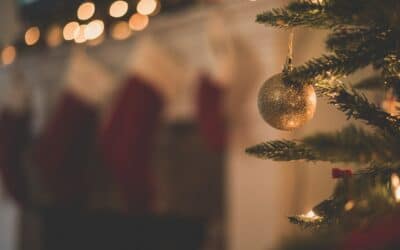 8 Tips for a More Sustainable Christmas in 2021.