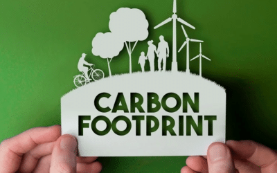 How to Reduce your Carbon Footprint