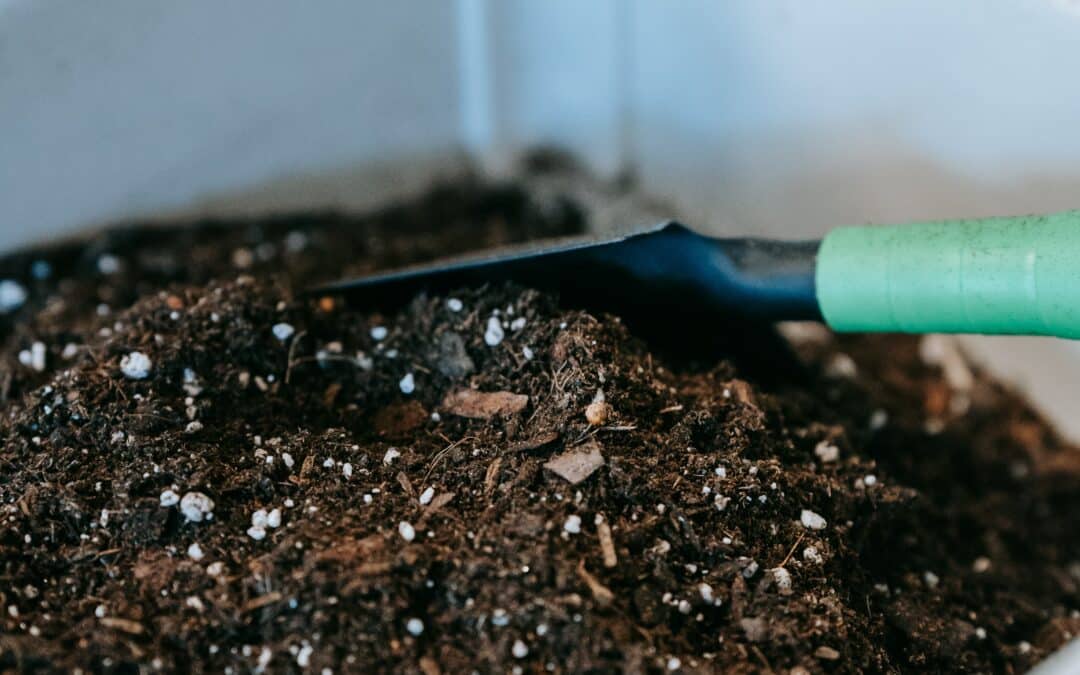 Fall Composting